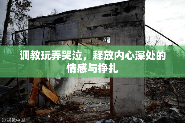 调教玩弄哭泣，释放内心深处的情感与挣扎