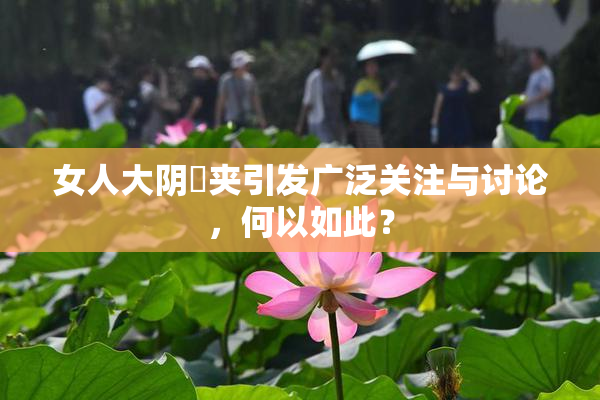 女人大阴脣夹引发广泛关注与讨论，何以如此？