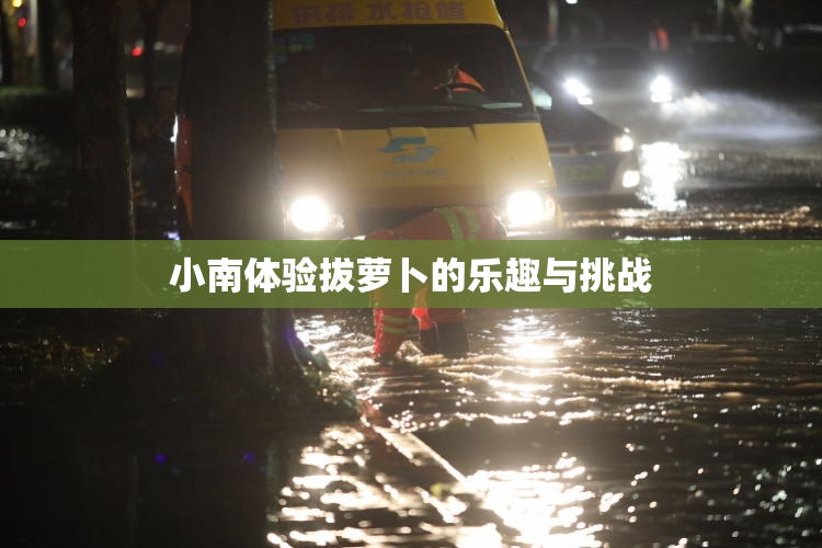 小南体验拔萝卜的乐趣与挑战