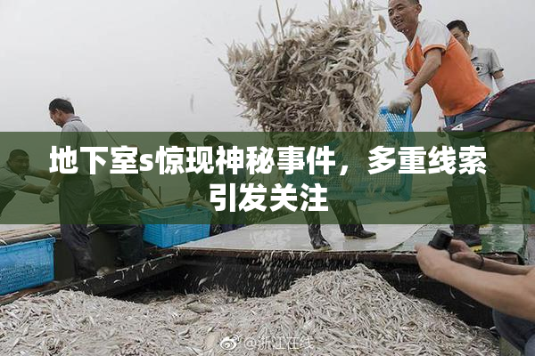 地下室s惊现神秘事件，多重线索引发关注