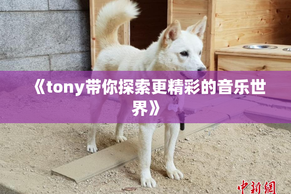 《tony带你探索更精彩的音乐世界》