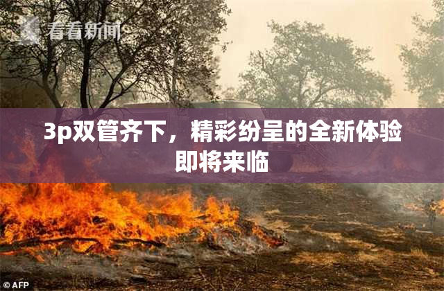 3p双管齐下，精彩纷呈的全新体验即将来临