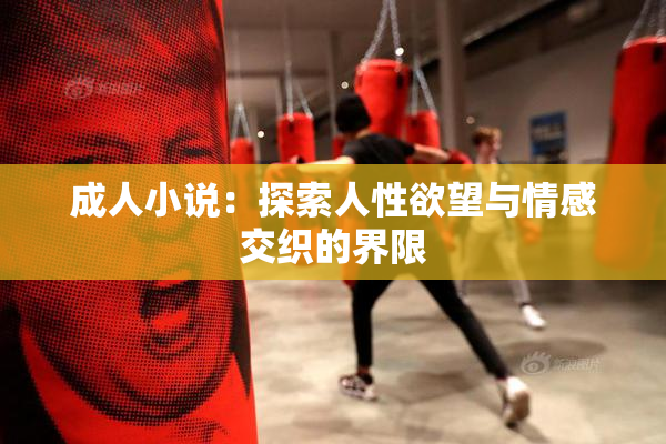 成人小说：探索人性欲望与情感交织的界限