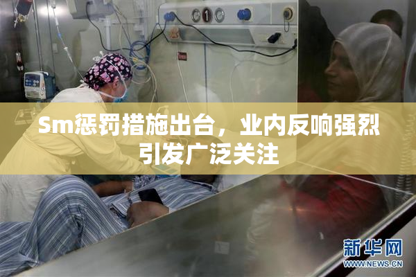 Sm惩罚措施出台，业内反响强烈引发广泛关注
