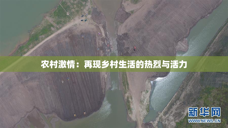 农村激情：再现乡村生活的热烈与活力