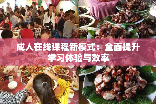 成人在线课程新模式：全面提升学习体验与效率