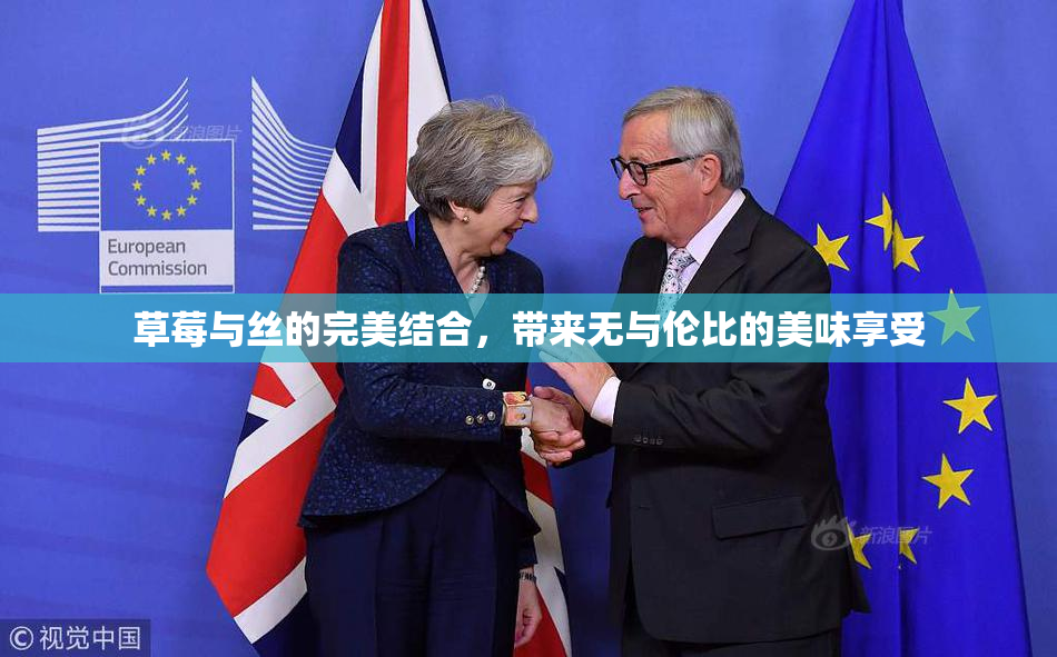 草莓与丝的完美结合，带来无与伦比的美味享受