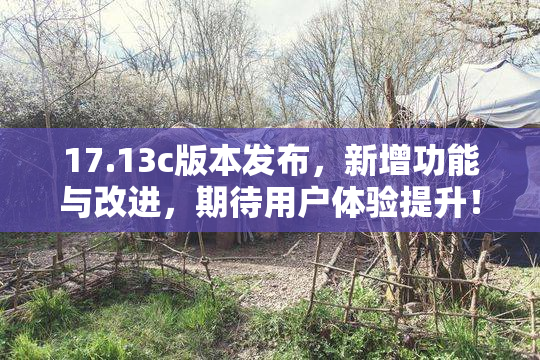 17.13c版本发布，新增功能与改进，期待用户体验提升！