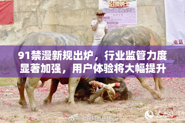 91禁漫新规出炉，行业监管力度显著加强，用户体验将大幅提升