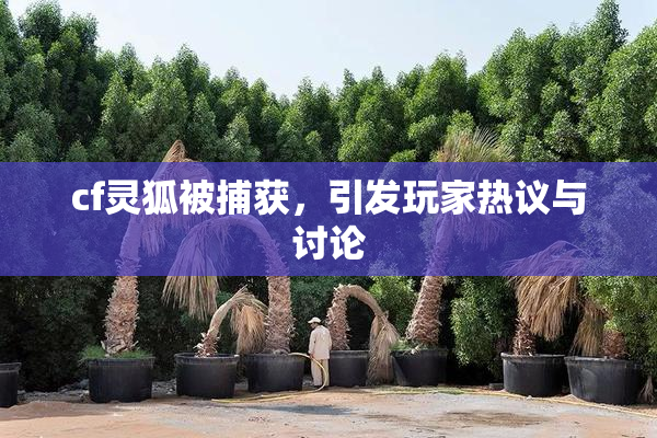 cf灵狐被捕获，引发玩家热议与讨论