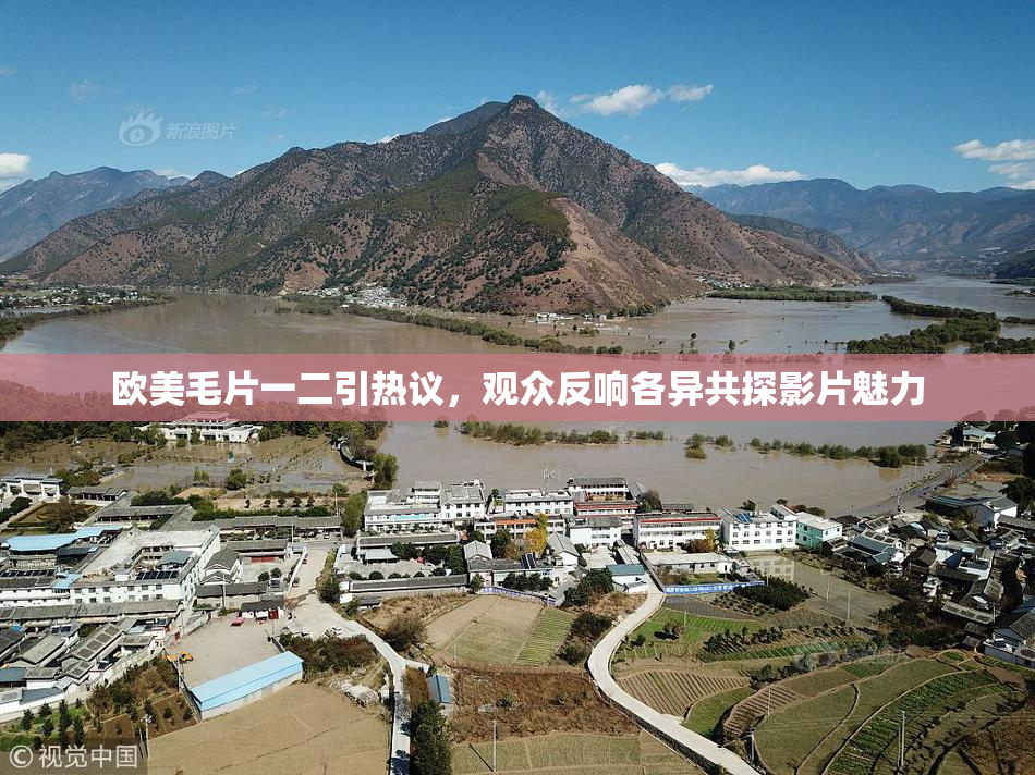 欧美毛片一二引热议，观众反响各异共探影片魅力