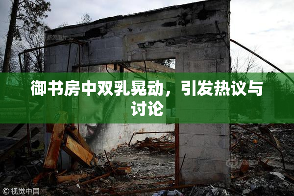 御书房中双乳晃动，引发热议与讨论