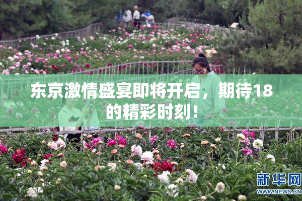 东京激情盛宴即将开启，期待18的精彩时刻！