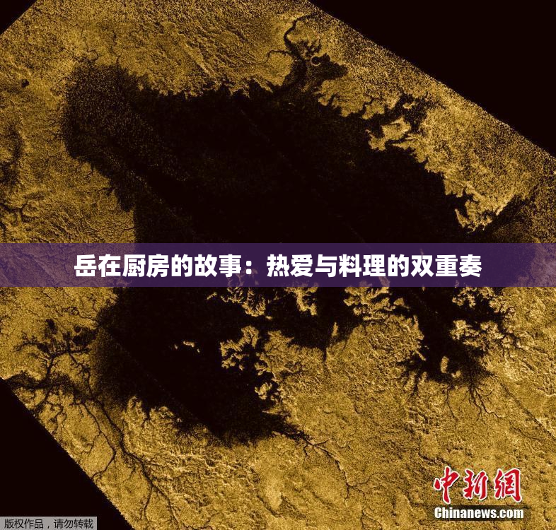 岳在厨房的故事：热爱与料理的双重奏