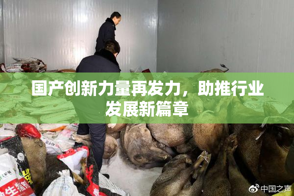 国产创新力量再发力，助推行业发展新篇章