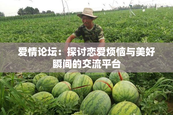 爱情论坛：探讨恋爱烦恼与美好瞬间的交流平台