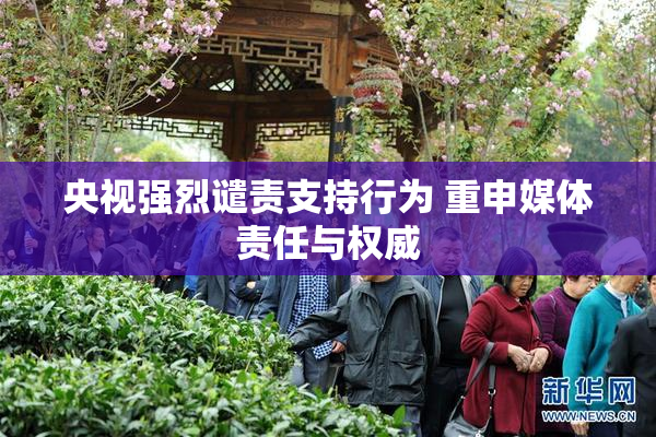 央视强烈谴责支持行为 重申媒体责任与权威