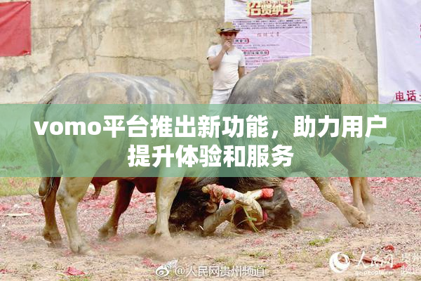 vomo平台推出新功能，助力用户提升体验和服务