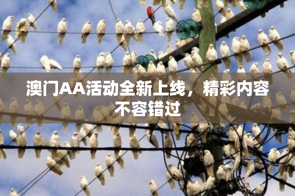 澳门AA活动全新上线，精彩内容不容错过