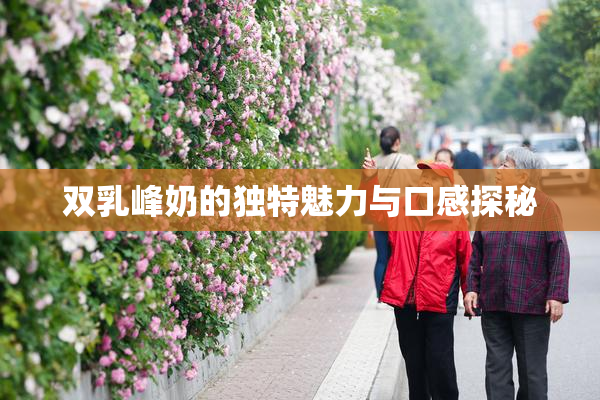 双乳峰奶的独特魅力与口感探秘