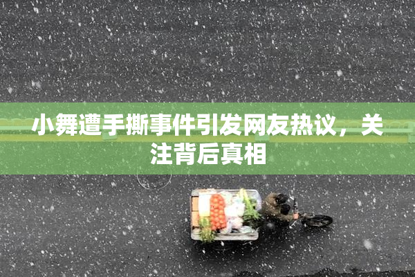 小舞遭手撕事件引发网友热议，关注背后真相