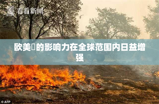 欧美巜的影响力在全球范围内日益增强