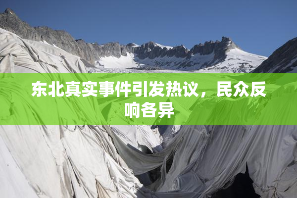东北真实事件引发热议，民众反响各异