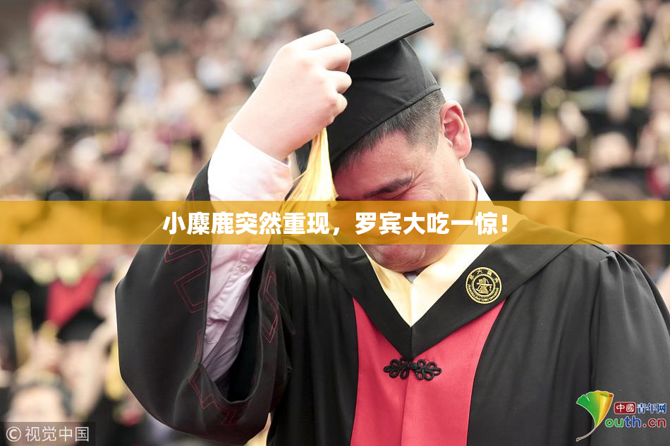 小麋鹿突然重现，罗宾大吃一惊！