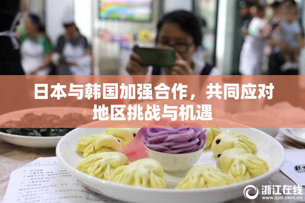 日本与韩国加强合作，共同应对地区挑战与机遇