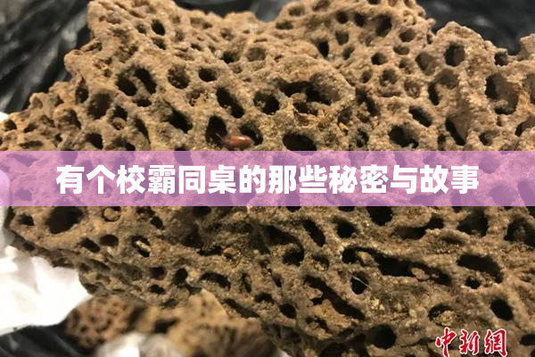 有个校霸同桌的那些秘密与故事
