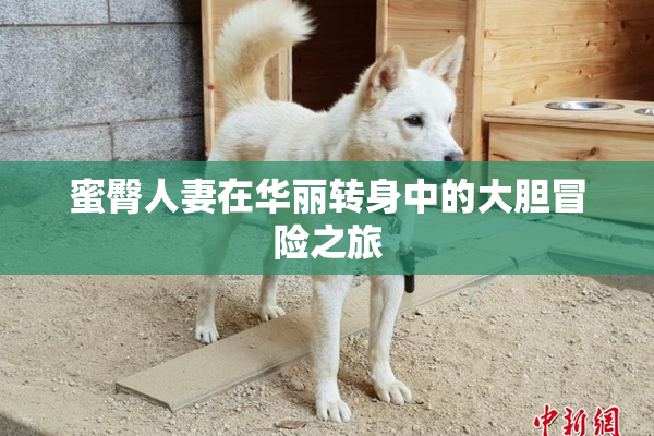 蜜臀人妻在华丽转身中的大胆冒险之旅