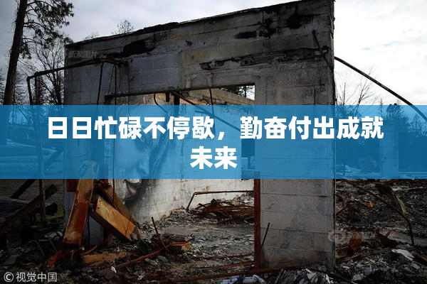 日日忙碌不停歇，勤奋付出成就未来