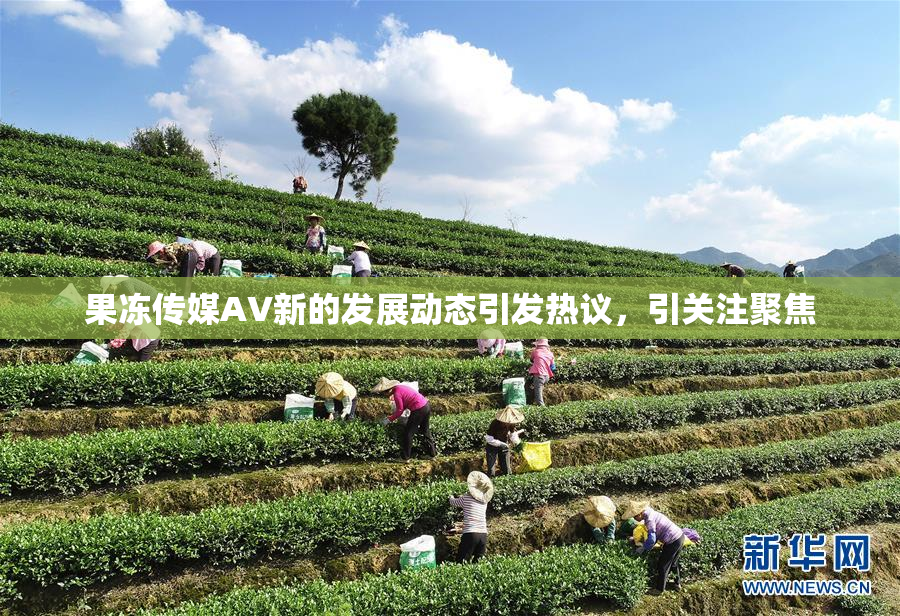 果冻传媒AV新的发展动态引发热议，引关注聚焦