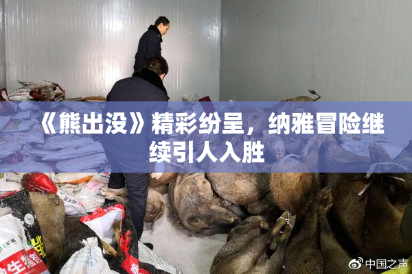 《熊出没》精彩纷呈，纳雅冒险继续引人入胜