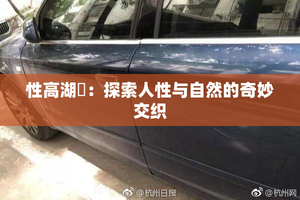 性高湖婬：探索人性与自然的奇妙交织