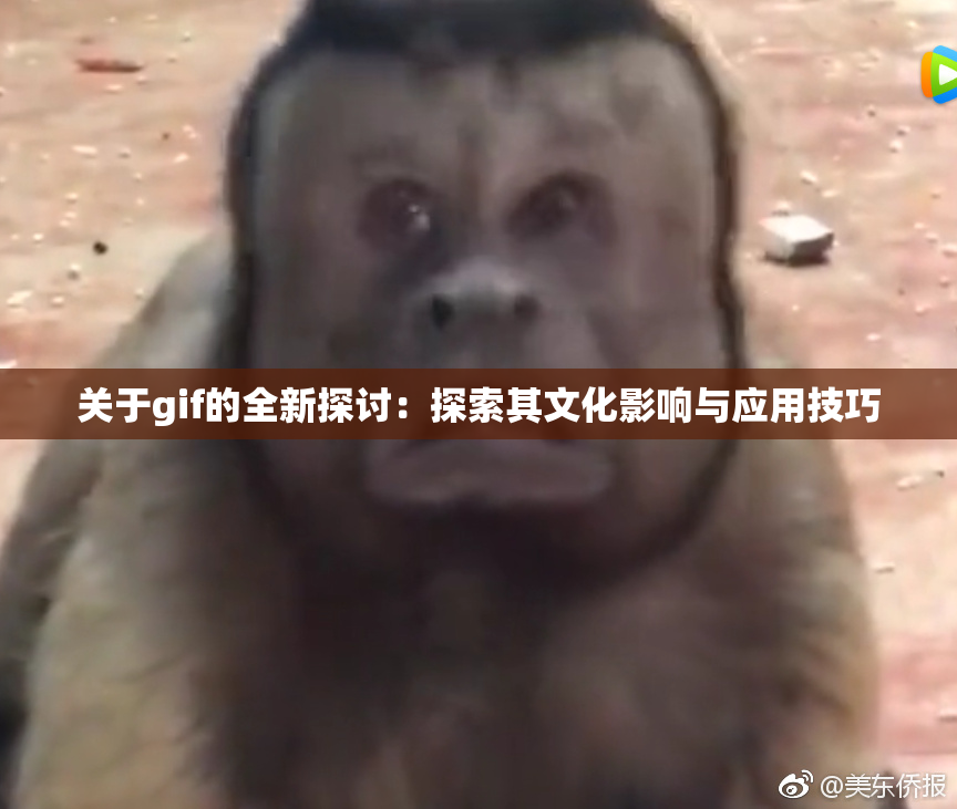 关于gif的全新探讨：探索其文化影响与应用技巧