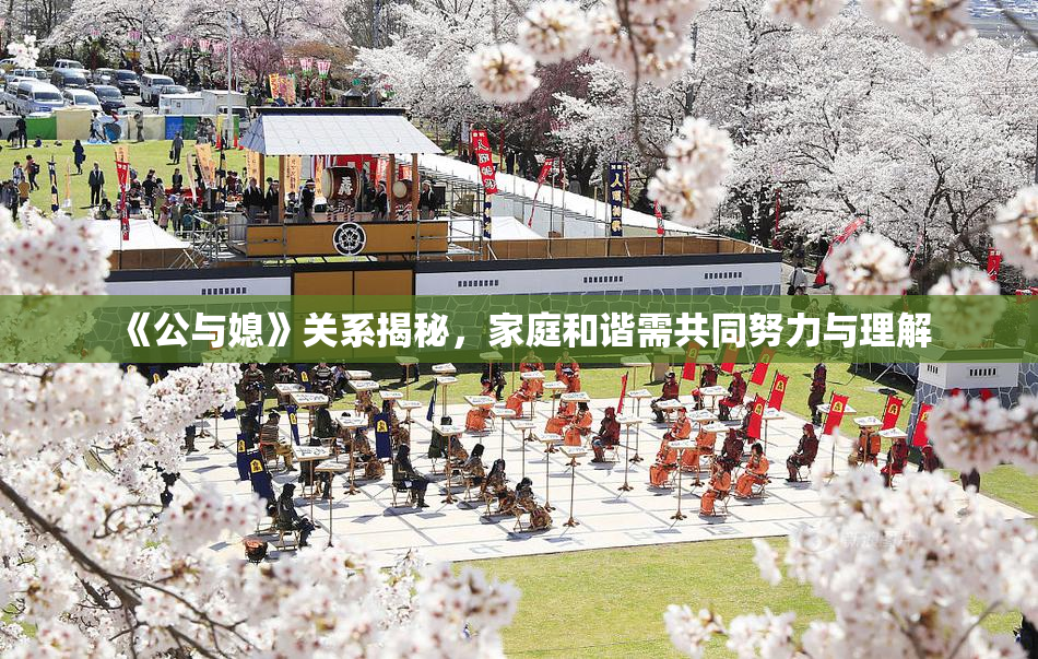 《公与媳》关系揭秘，家庭和谐需共同努力与理解