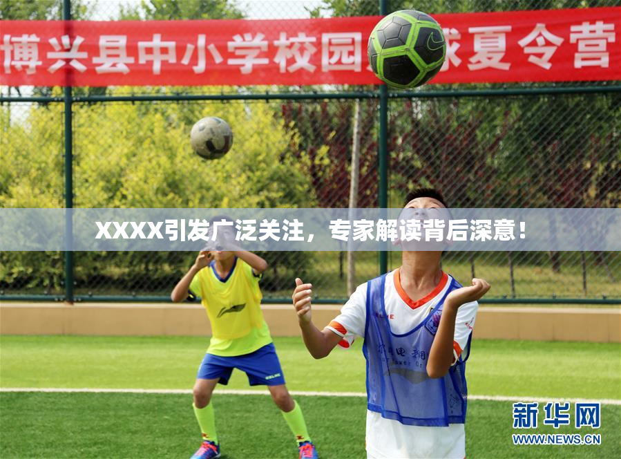 XXXX引发广泛关注，专家解读背后深意！