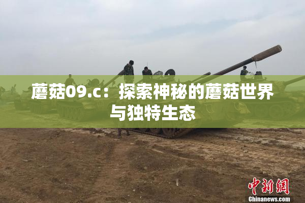 蘑菇09.c：探索神秘的蘑菇世界与独特生态
