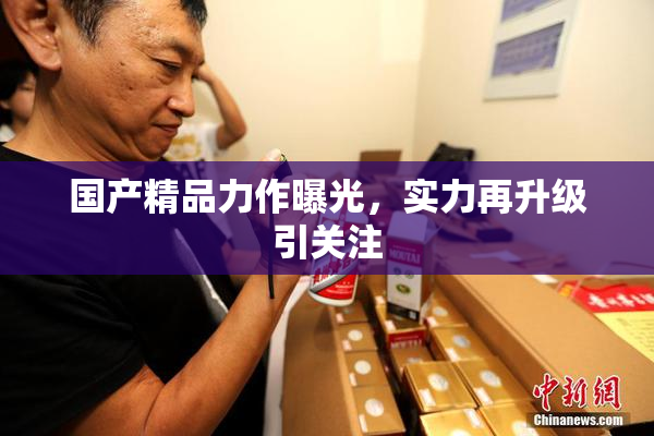 国产精品力作曝光，实力再升级引关注