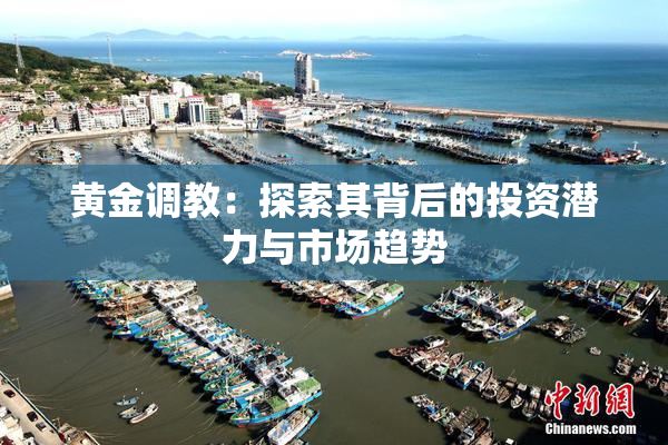 黄金调教：探索其背后的投资潜力与市场趋势
