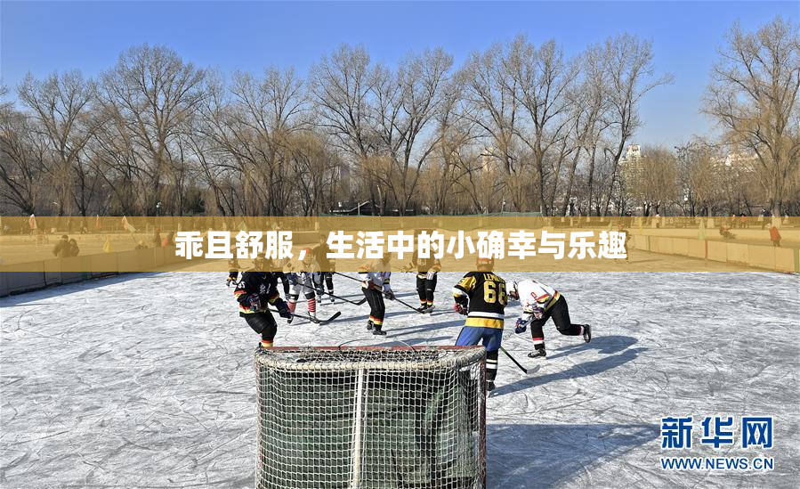 乖且舒服，生活中的小确幸与乐趣