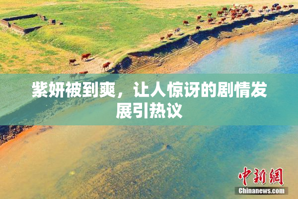 紫妍被到爽，让人惊讶的剧情发展引热议