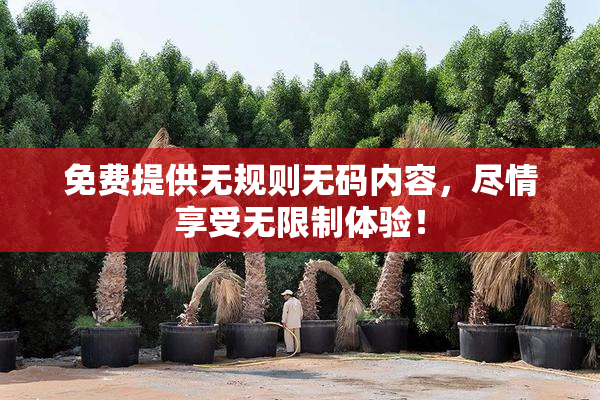 免费提供无规则无码内容，尽情享受无限制体验！