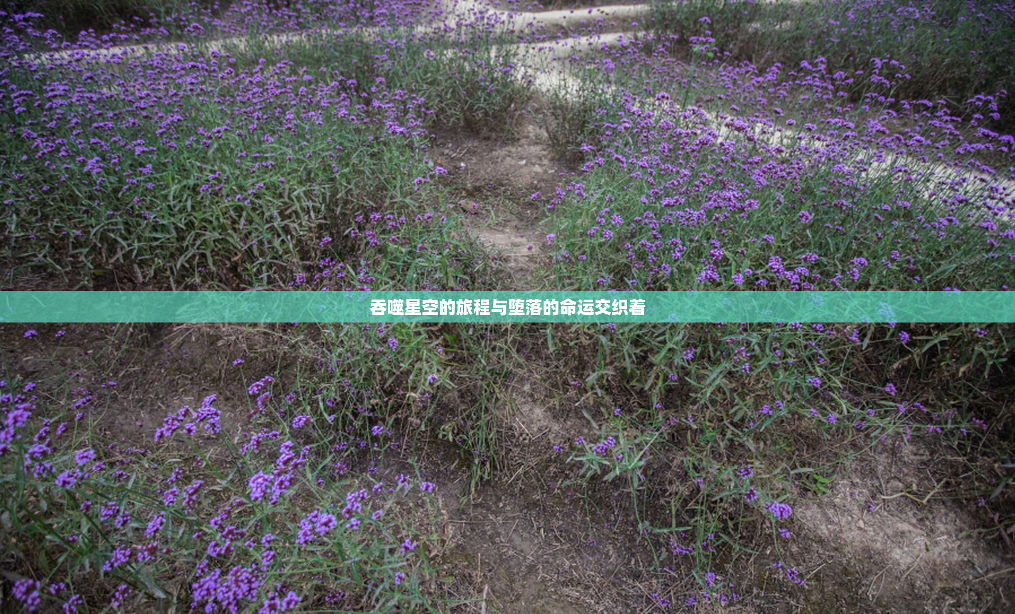 吞噬星空的旅程与堕落的命运交织着