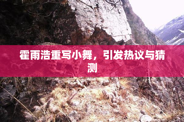 霍雨浩重写小舞，引发热议与猜测
