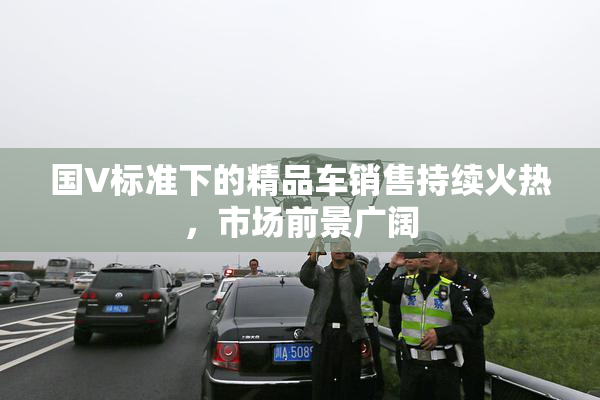 国V标准下的精品车销售持续火热，市场前景广阔