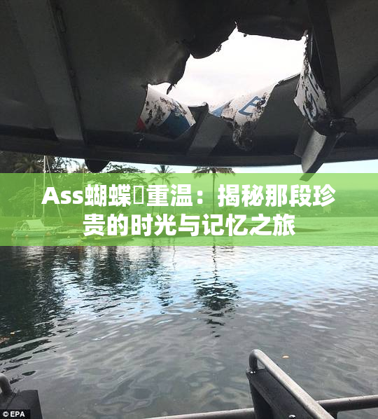 Ass蝴蝶泬重温：揭秘那段珍贵的时光与记忆之旅