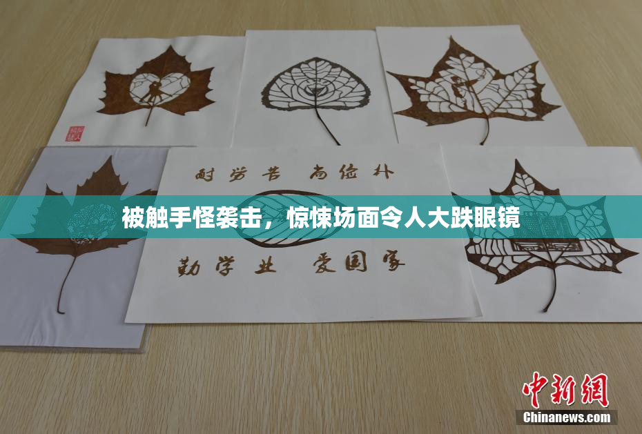 被触手怪袭击，惊悚场面令人大跌眼镜