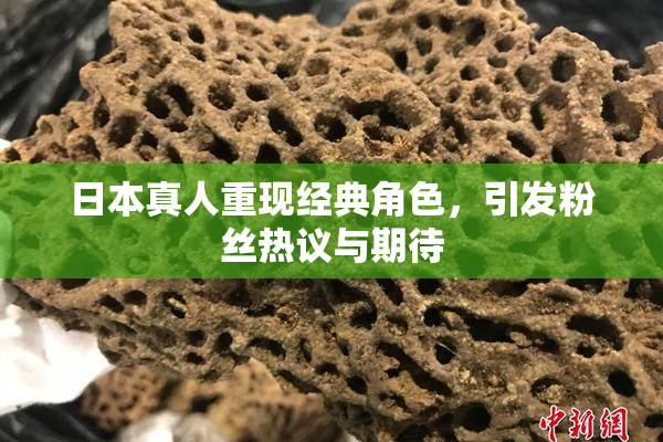 日本真人重现经典角色，引发粉丝热议与期待